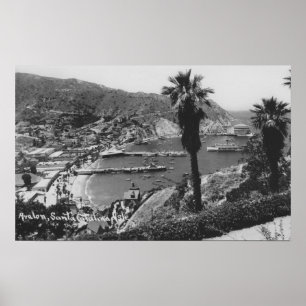 Avalon, CA Santa Catalina, Uitzicht van Harbour Poster