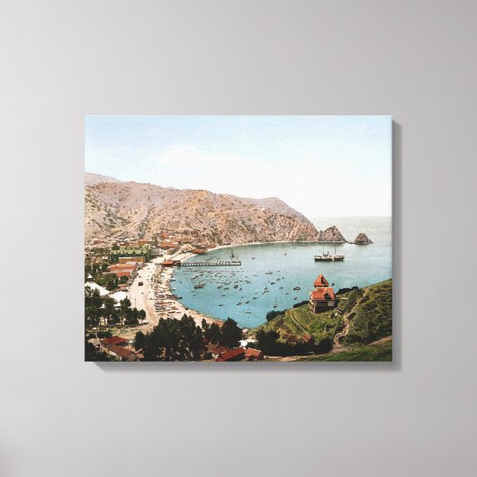 Avalon, Catalina Island 1901 Canvas Afdruk (Voorkant)
