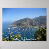 Avalon, Catalina Poster (Voorkant)