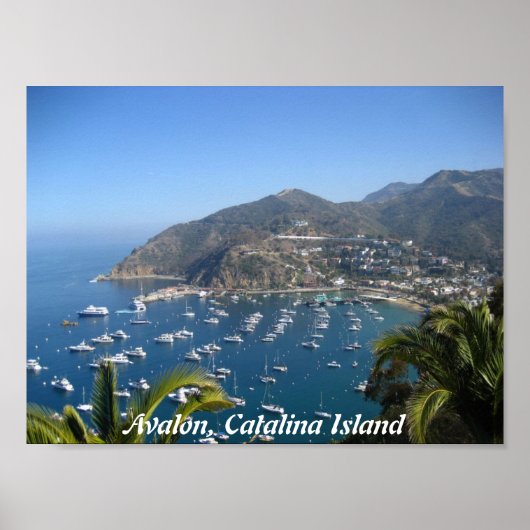 Avalon, Catalina Poster (Voorkant)