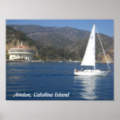Avalon, Catalina Poster (Voorkant)
