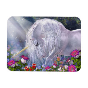 Avalon Flexi Magnet Magneet