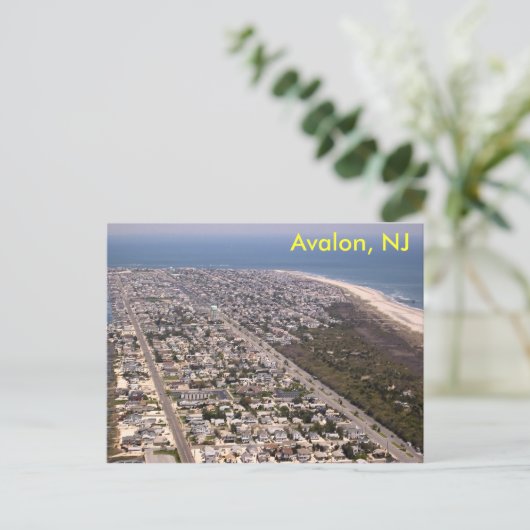Avalon, NJ Briefkaart (Staand voorkant)