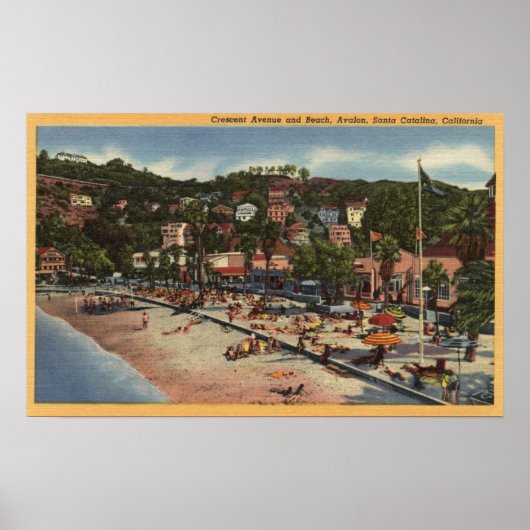 Avalon Uitzicht van Crescent Ave. & Beach Poster (Voorkant)