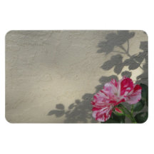 Avant-garde Roos en Schaduw