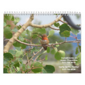 Avatar Properties Natuur Calendar Kalender (Hoes)