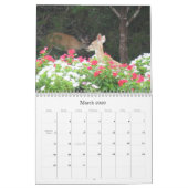 Avatar Properties Natuur Calendar Kalender (Mar 2026)