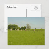 Avebury Henge - UK Briefkaart (Voorkant / Achterkant)