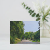 Avenham en Miller park Briefkaart (Staand voorkant)