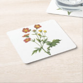 avens (Geum coccineum) van Redouté Kartonnen Onderzetters (Schuin)