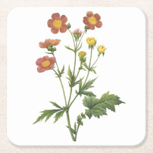 avens (Geum coccineum) van Redouté Kartonnen Onderzetters