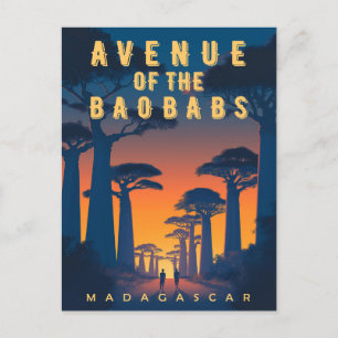 Avenue des Baobabs Madagaskar - Retro Afrikaans Briefkaart