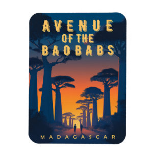Avenue des Baobabs Madagaskar - Retro Afrikaans Magneet