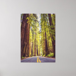 Avenue des Giants Canvas Afdruk