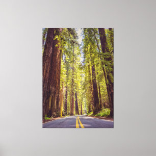 Avenue des Giants Canvas Afdruk