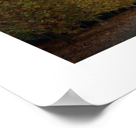 Avenue des Planes in het najaar van het Poster (Hoek)