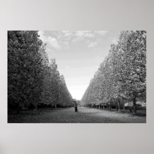 Avenue des Planes: Tokio (zwart/wit) Poster