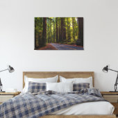 Avenue of Giant Redwood California Canvas Afdruk (Insitu (Slaapkamer))