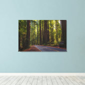Avenue of Giant Redwood California Canvas Afdruk (Insitu (Houten vloer))