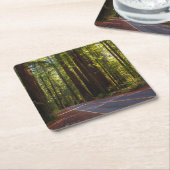 Avenue of Giant Redwood California Kartonnen Onderzetters (Schuin)