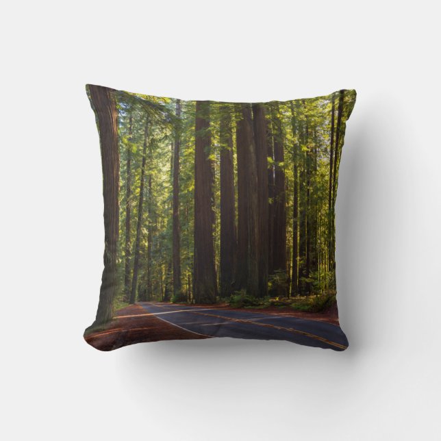Avenue of Giant Redwood California Kussen (Voorkant)