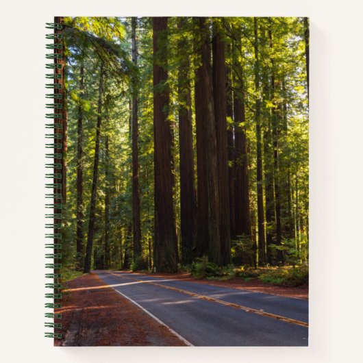 Avenue of Giant Redwood California Notitieboek (Voorkant)