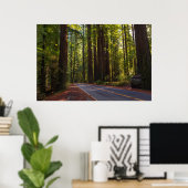 Avenue of Giant Redwood California Poster (Thuiskantoor)