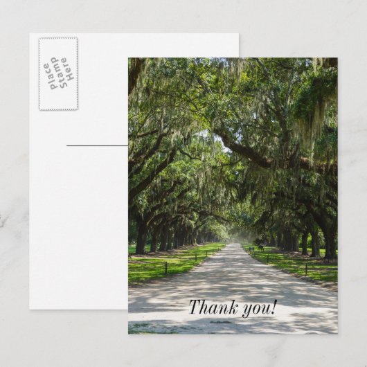 Avenue Of Oaks Dankkaart Briefkaart (Voorkant / Achterkant)