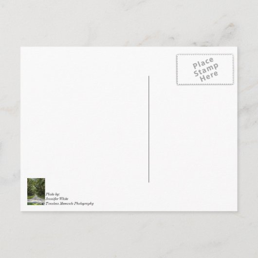 Avenue Of Oaks Dankkaart Briefkaart (Achterkant)