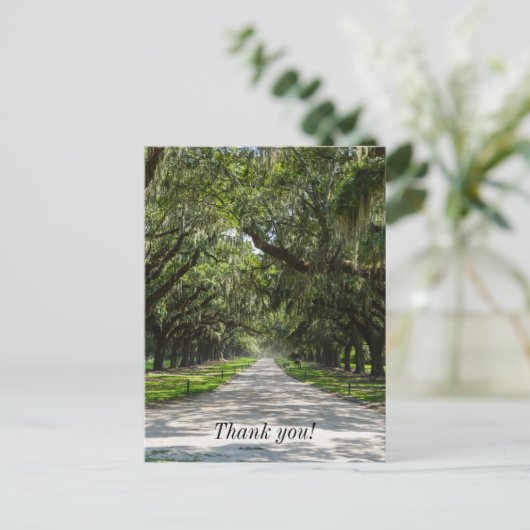 Avenue Of Oaks Dankkaart Briefkaart (Staand voorkant)