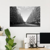 Avenue of Plane Trees: Tokio (zwart-wit) Poster (Thuiskantoor)