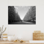 Avenue of Plane Trees: Tokio (zwart-wit) Poster (Keuken)