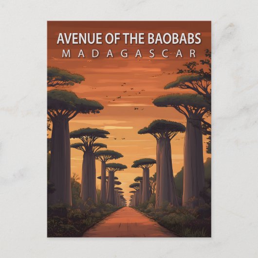 Avenue of the Baobabs Madagascar African Nature Briefkaart (Voorkant)
