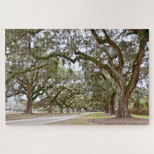 Avenue of the Oaks, South Carolina Legpuzzel (Horizontaal)