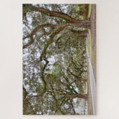 Avenue of the Oaks, South Carolina Legpuzzel (Verticaal)