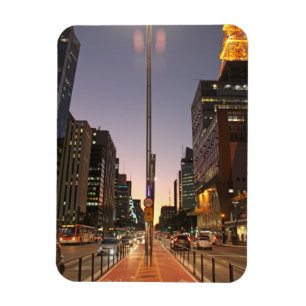 Avenue Paulista - São Paulo Magneet