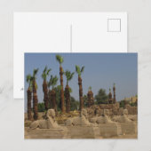 Avenue Sphinxes - Ancient Egypt Briefkaart (Voorkant / Achterkant)