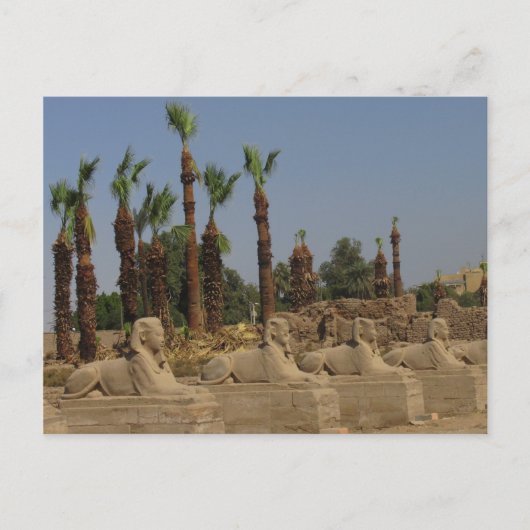 Avenue Sphinxes - Ancient Egypt Briefkaart (Voorkant)