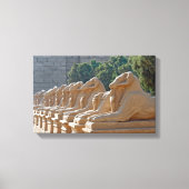 Avenue Sphinxes in Karnak Temple - Egypte Canvas Afdruk (Voorkant)