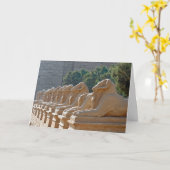 Avenue Sphinxes in Karnak Temple - Egypte Kaart (Gele Bloem)