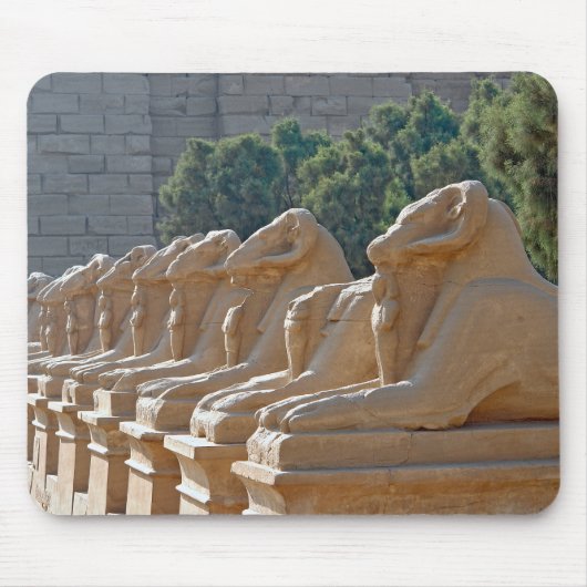 Avenue Sphinxes in Karnak Temple - Egypte Muismat (Voorkant)