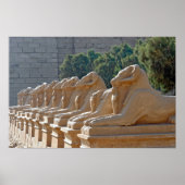 Avenue Sphinxes in Karnak Temple - Egypte Poster (Voorkant)