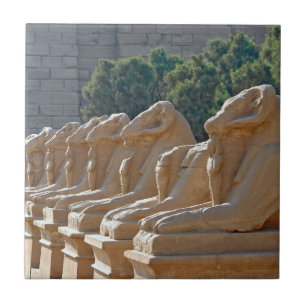 Avenue Sphinxes in Karnak Temple - Egypte Tegeltje