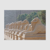 Avenue Sphinxes in Karnak Temple - Egypte Tissuepapier (Voorkant)