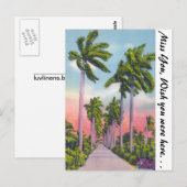Avenue Stomme Royal Palms in Florida Briefkaart (Voorkant / Achterkant)