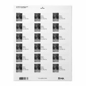 Avenue van Oaks Grijswaartse Adresetiketten Etiket (Full Sheet)