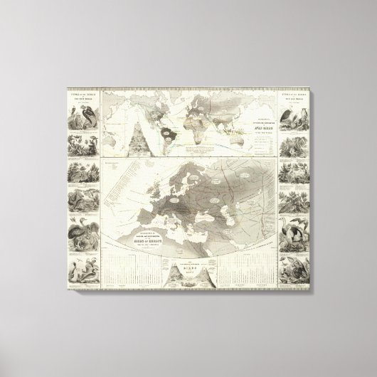 Aves, vogels canvas afdruk (Voorkant)