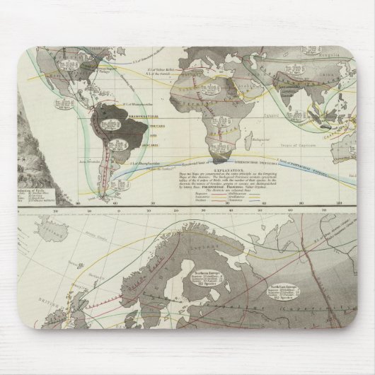 Aves, vogels muismat (Voorkant)