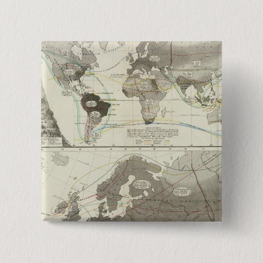 Aves, vogels vierkante button 5,1 cm (Voorkant)