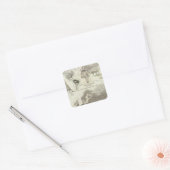 Aves, vogels vierkante sticker (Envelop)